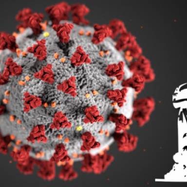 Communication on the spread of SARS-CoV-2 variants in the country 12 May 2023 