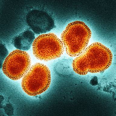 Information on influenza viruses in circulation 